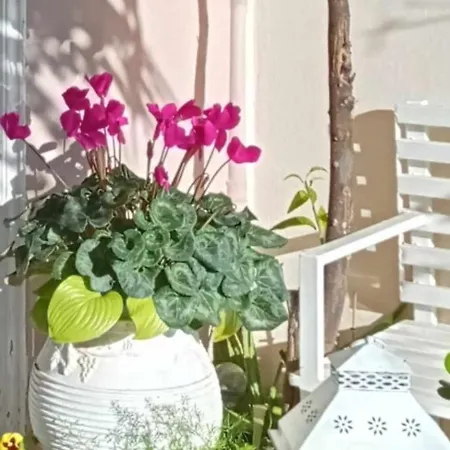 Βίλα Three Goods Meteora